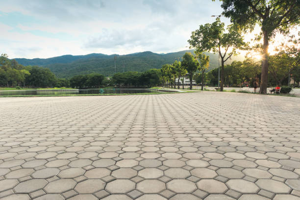 Best Driveway Paving Contractor  in Colonial Heights, TN