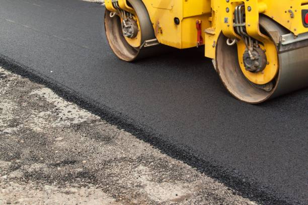Best Local Driveway Pavers  in Colonial Heights, TN