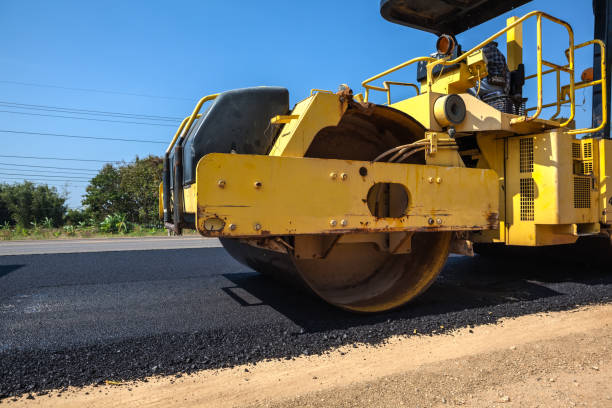 Best Local Driveway Pavers  in Colonial Heights, TN